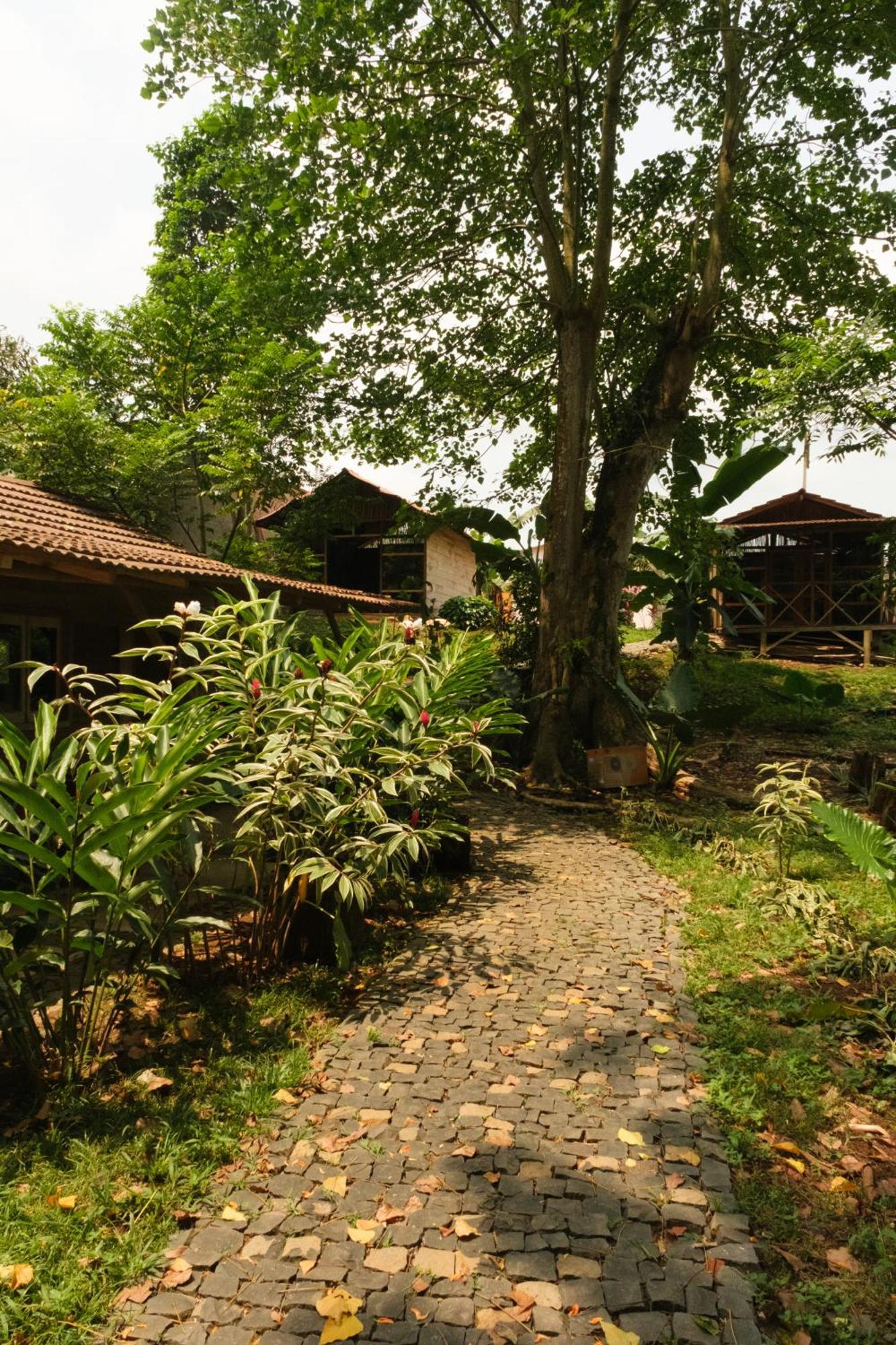 Roca Maria Helena-Principe Hotel Santo Antonio Ngoại thất bức ảnh